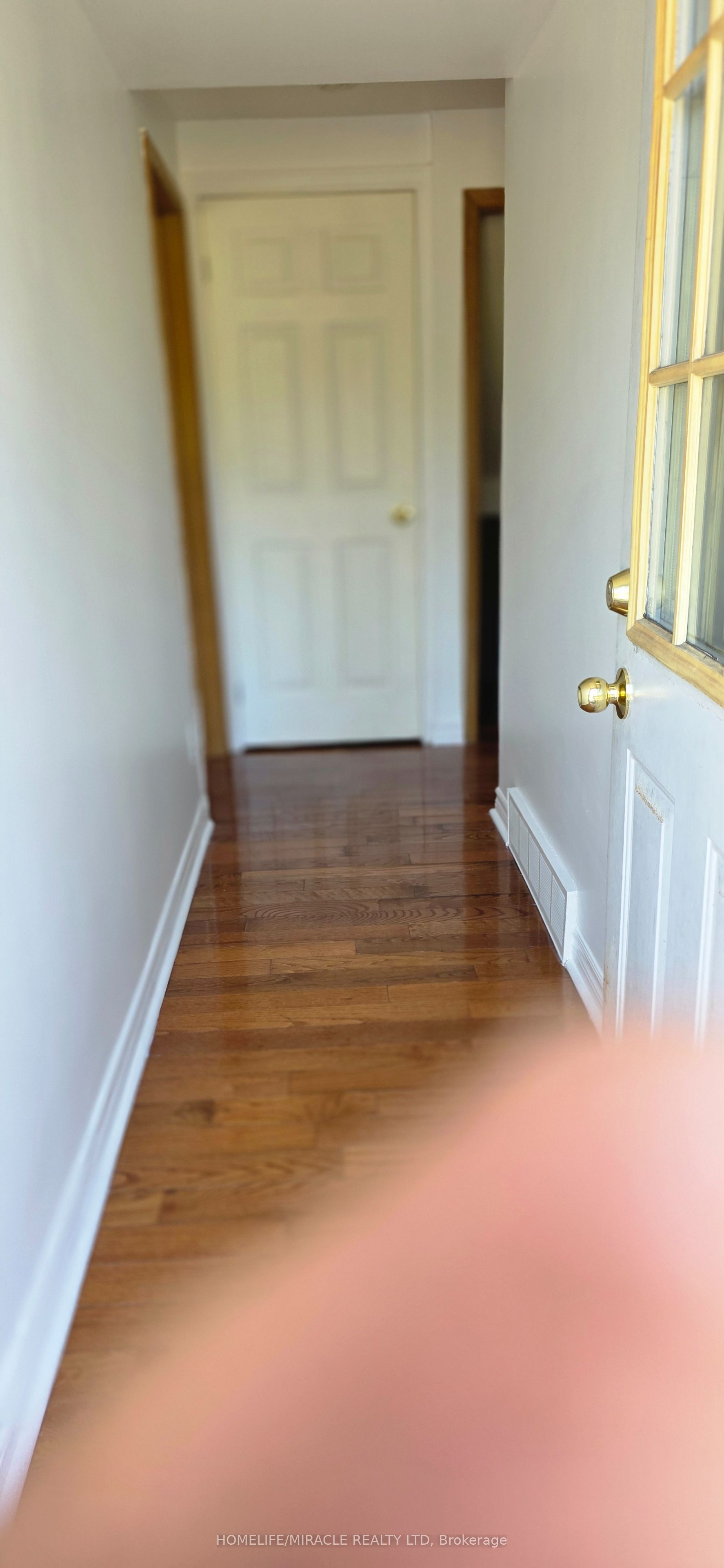 Unit Ground Floor and Basement - 46 Cavehill Crescent, Scarborough 4