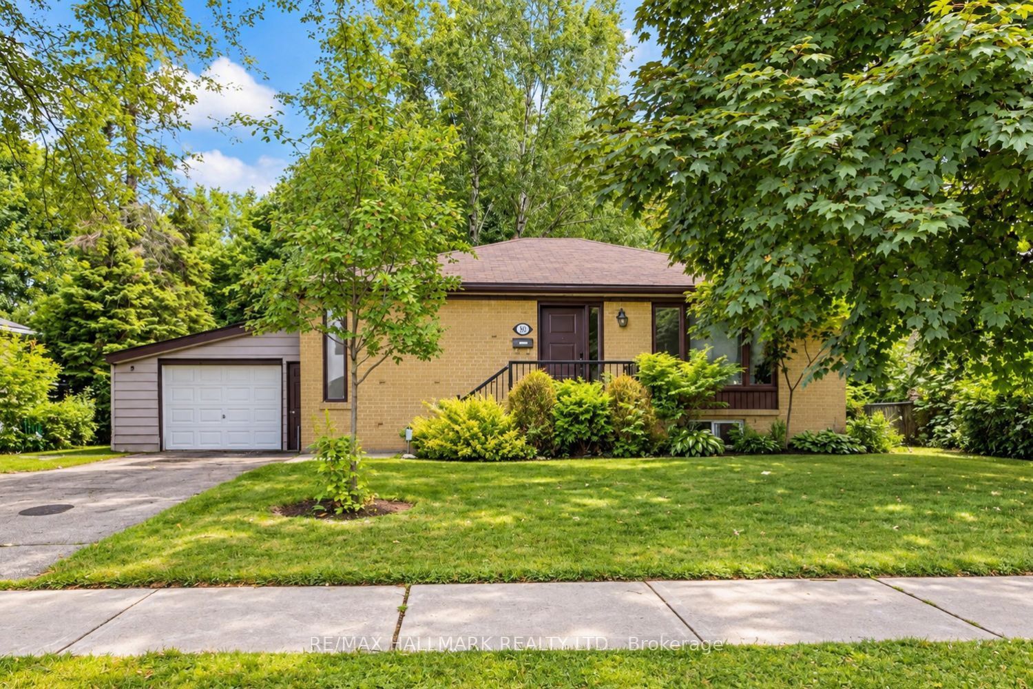 Unit BSMT - 102 Murray Drive, Aurora 1