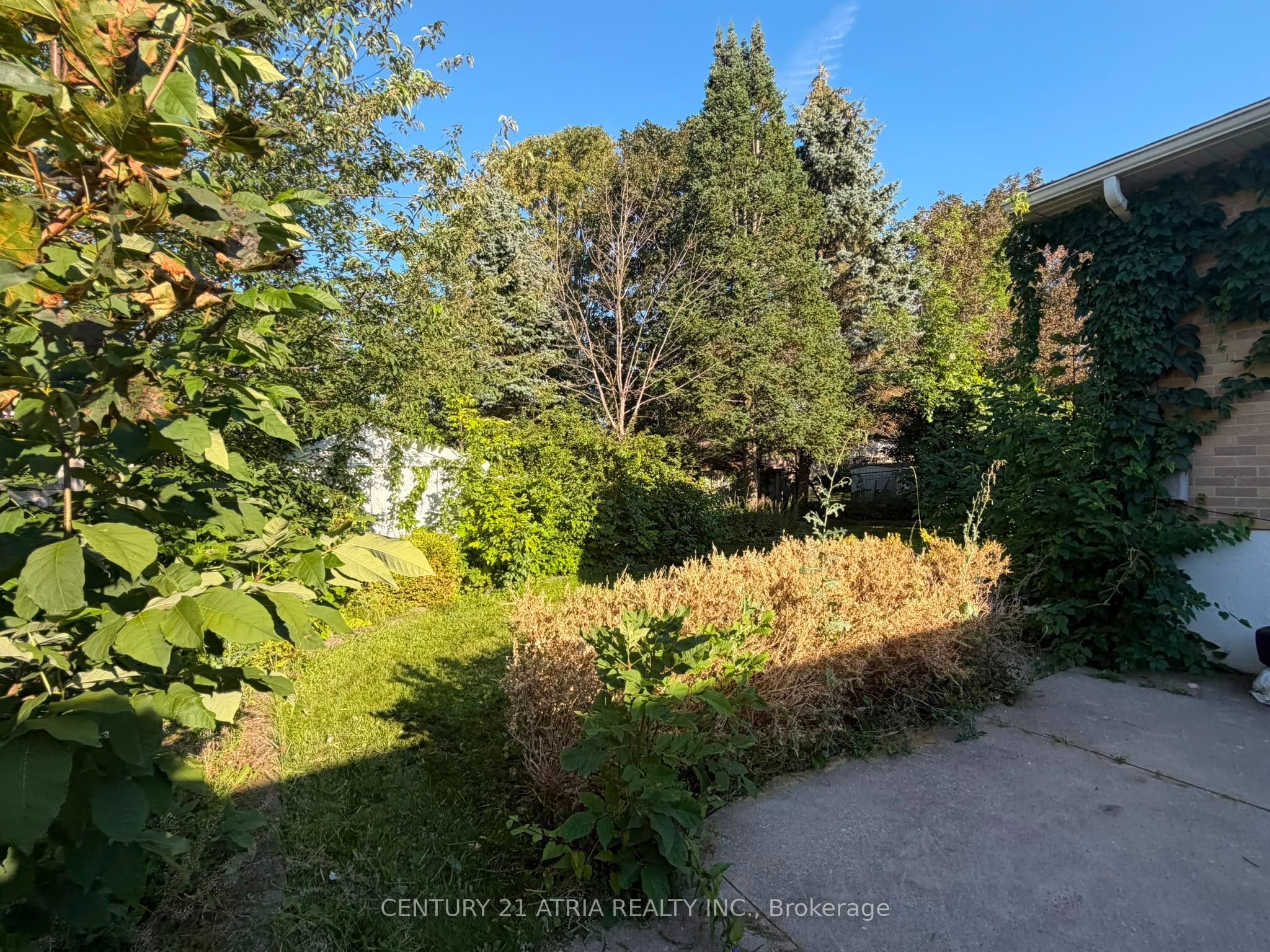Unit Lower - 76 Bernick Drive, Barrie 3