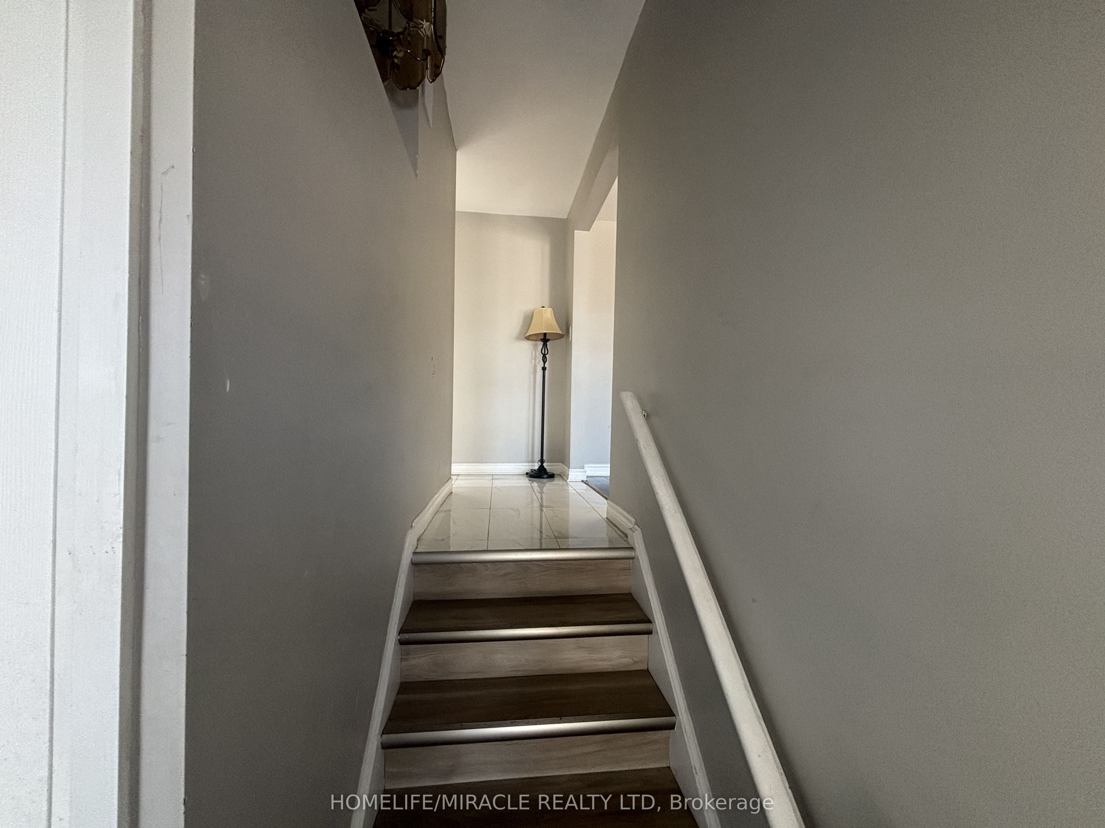Unit Main - 219 Mcmurchy Avenue, Brampton 3