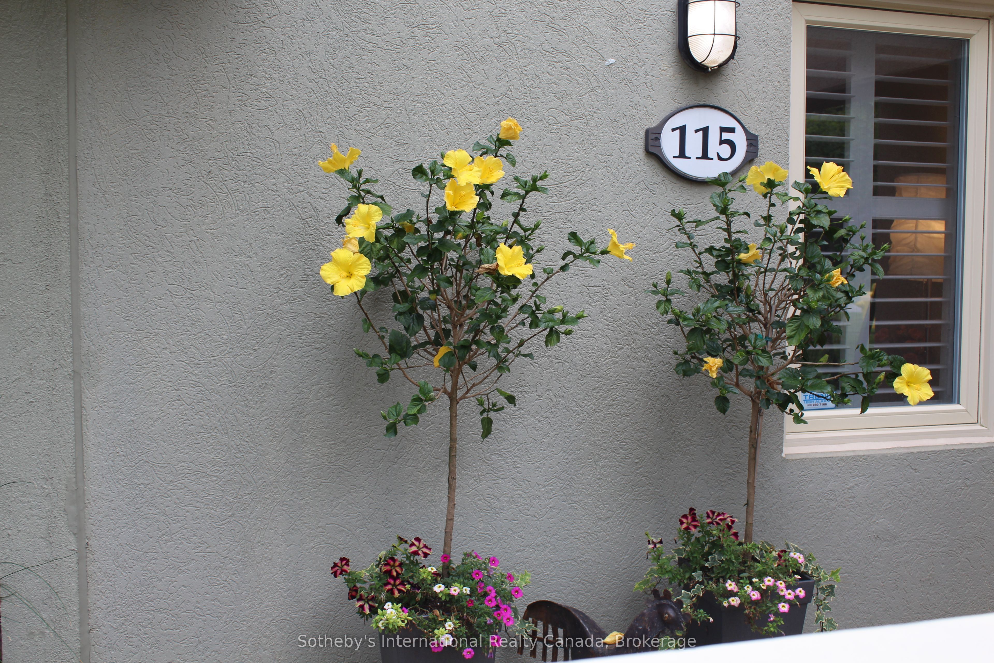Unit 115 - 107 Wintergreen Place, Blue Mountains 3
